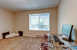 Property Image 5168